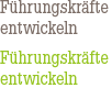 Führungskräfte entwickeln