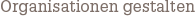 Organisationen gestalten